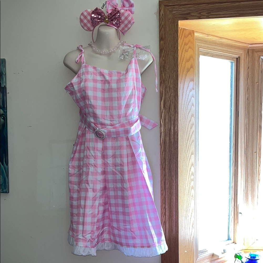 Pink checkered Funna BigII Halloween mouse ears dress costume with jewelry sz L